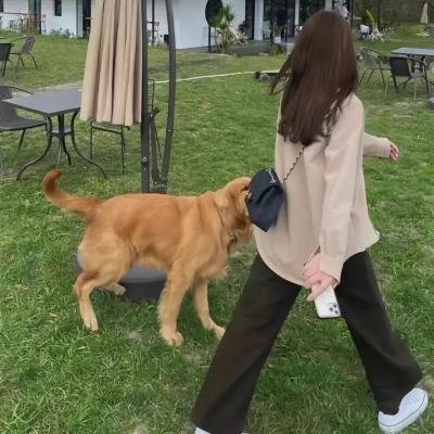 血巷